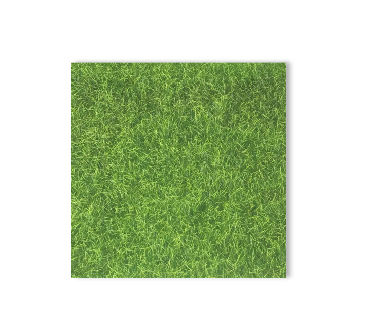 Grass Glade