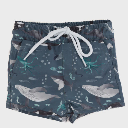 Finn Trunks- Under the sea