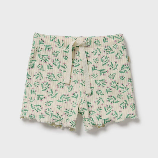 Periwinkle Organic Short