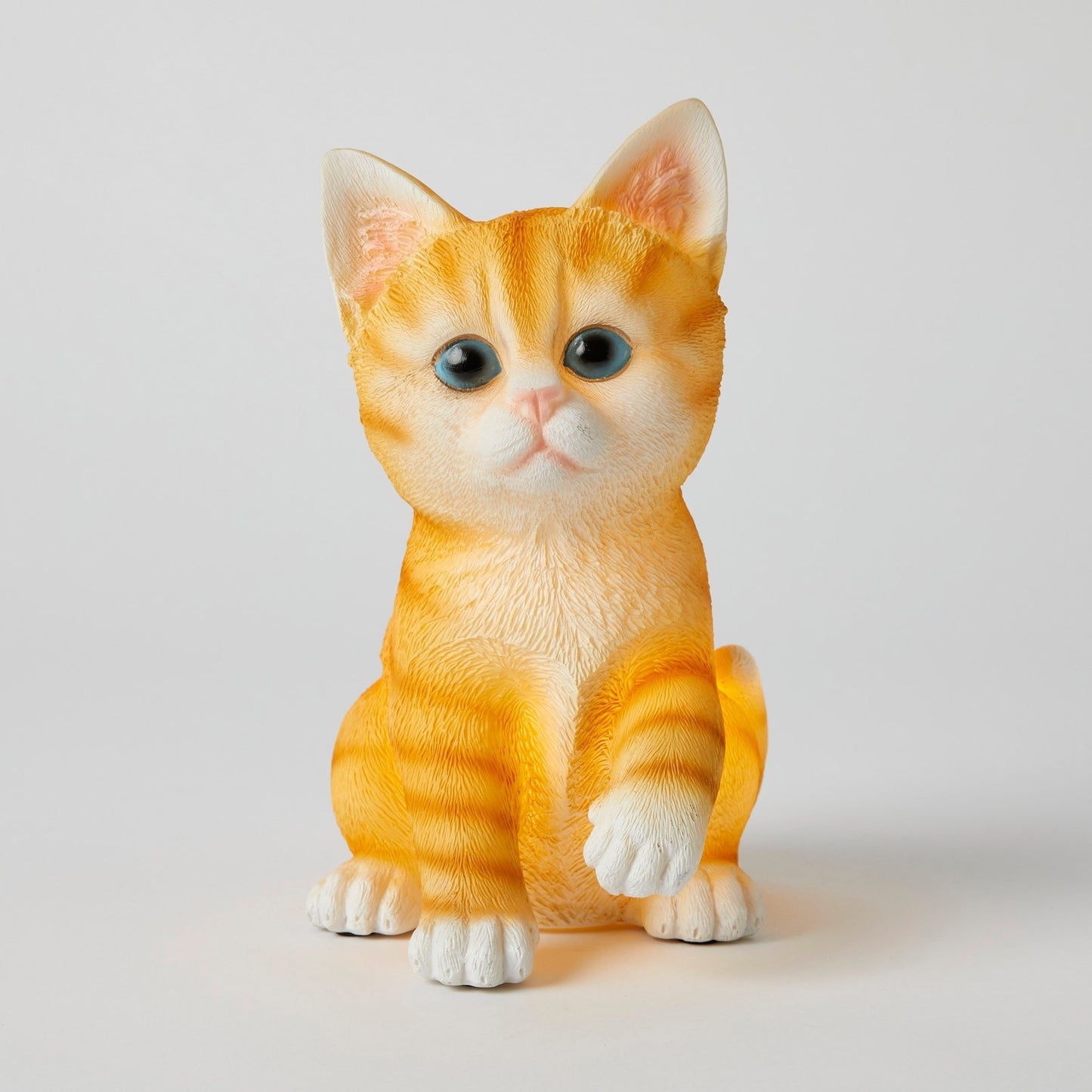 Cat Night Light