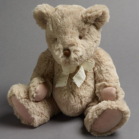 Teddy Bear with Ribbon