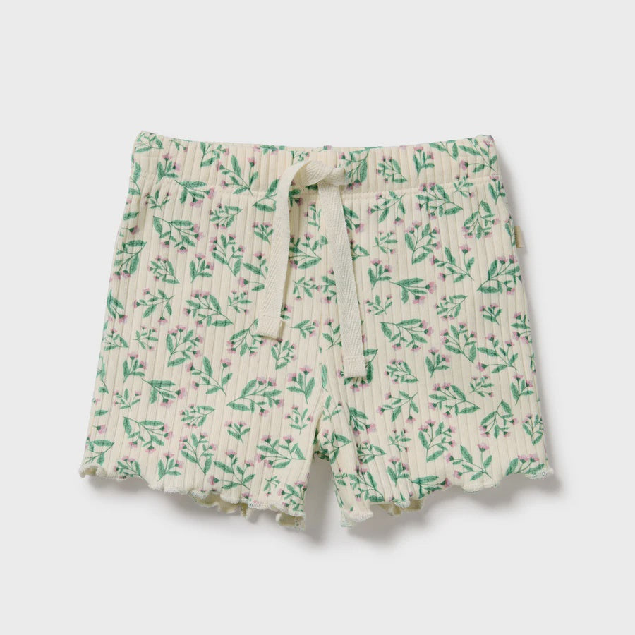 Periwinkle Organic Short