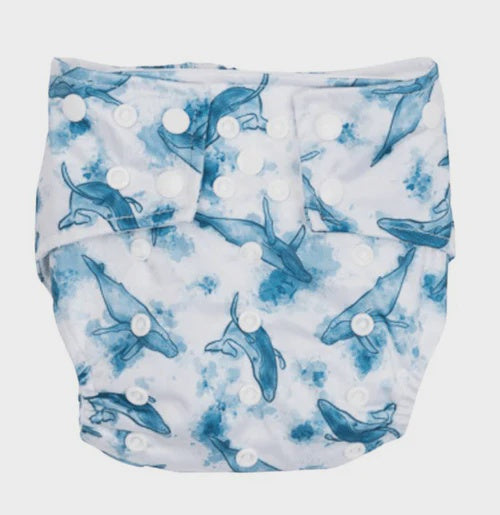 Sassy pants swim nappies