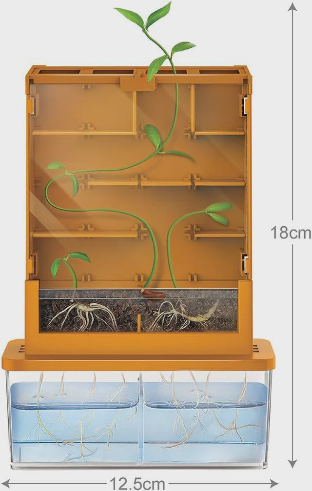 Grow a Maze
