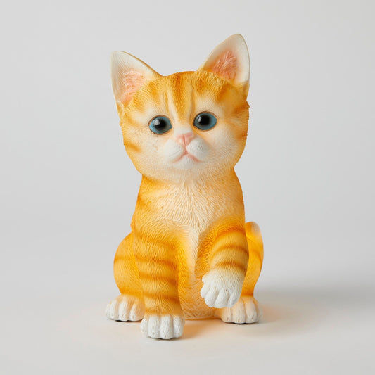 Cat Night Light